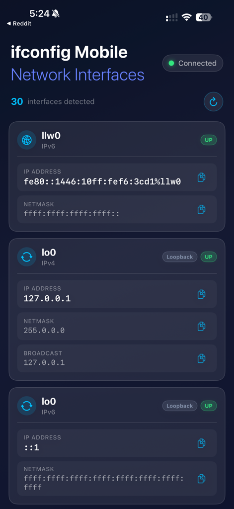 ifconfig Mobile: Network Info - ifconfig Mobileアプリのダッシュボード。IPアドレスやネットマスクを含む詳細なネットワークインターフェース情報が表示されています。