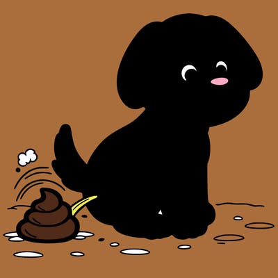 a dog pooping