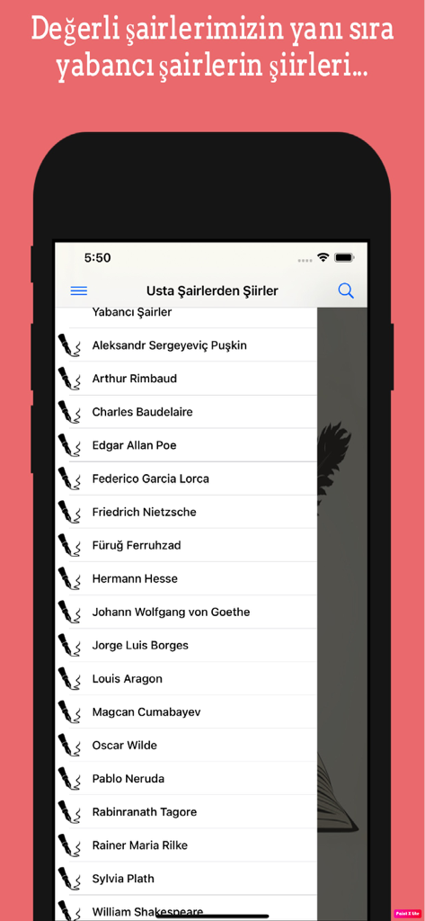 Usta Şairlerden Şiirler - A list of famous international poets including Edgar Allan Poe and Charles Baudelaire within the Turkish poetry app interface.