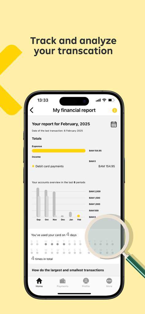 Raiffeisen Mobile Banking - Finanzbericht-Bildschirm der Raiffeisen Mobile Banking App mit monatlichen Ausgaben und Transaktionsdiagrammen.