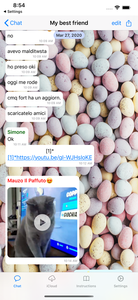 A restored WhatsApp conversation interface within the ChatShareApp showing text messages and a shared cat video