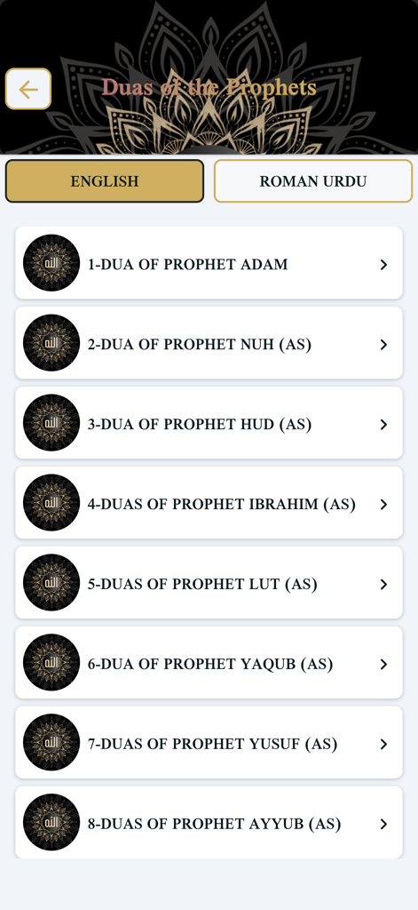 Dua Pro - Interface do aplicativo Dua Pro exibindo uma lista de Duas dos Profetas em inglês.