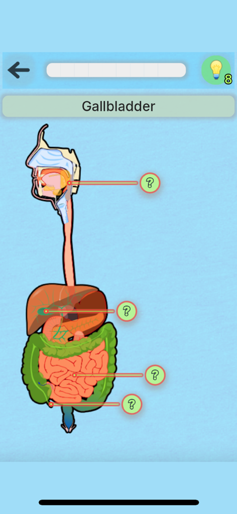 Anatomy Game - Captura de pantalla de Juego de Anatomía mostrando un diagrama del sistema digestivo humano para un cuestionario de identificación de órganos