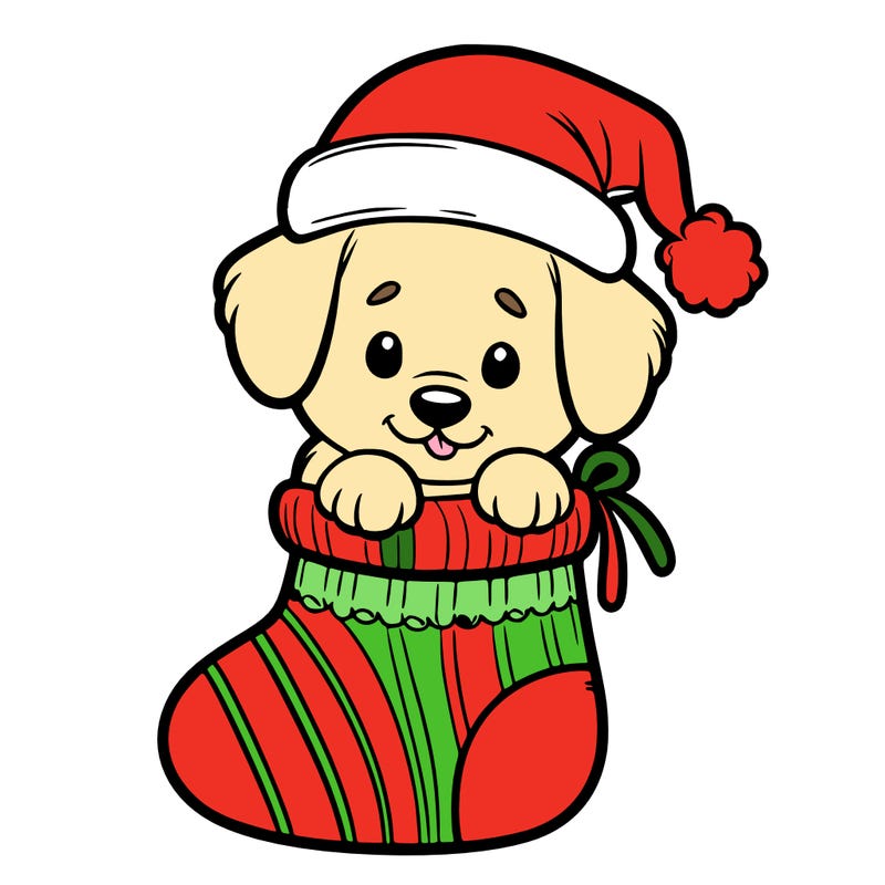 cute puppy wearing santa hat in socking