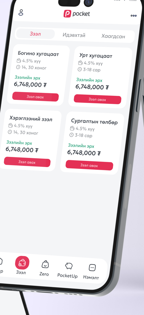 Pocket mn mobile app screen displaying different loan options and credit limits
