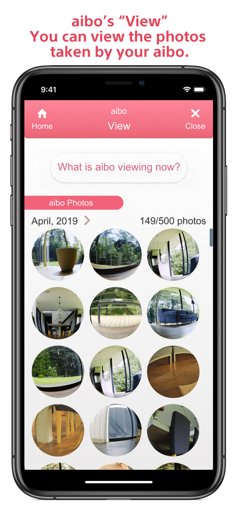 Captura de pantalla de la aplicación My aibo mostrando una galería de fotos circulares tomadas desde la perspectiva del perro robot
