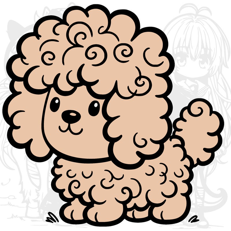 white dog with curly hair