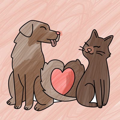 animals_22