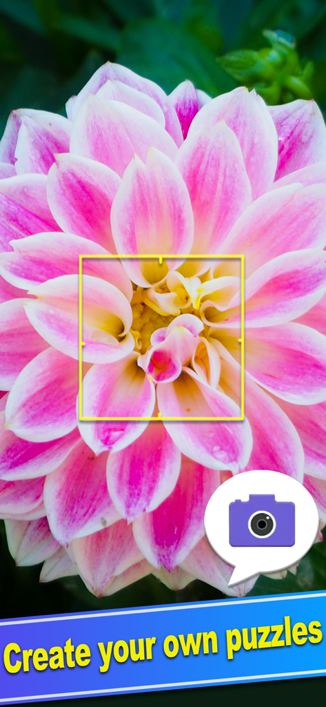 ColorPlanet® Jigsaw Puzzle - Interface showing how to create a custom jigsaw puzzle from a photo of a pink flower