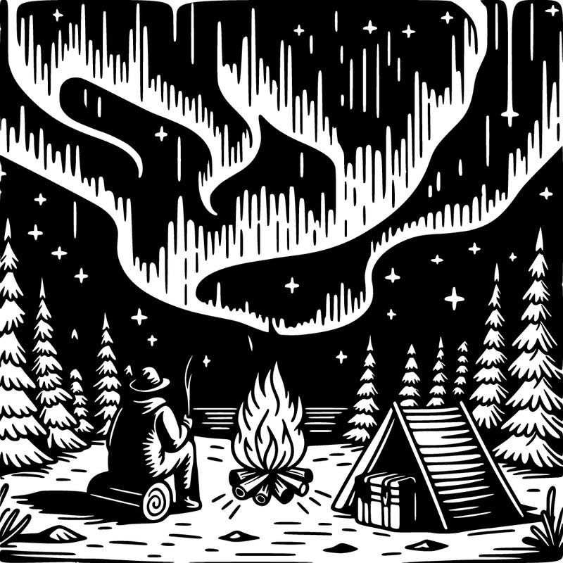 bondfire starry skies nothern lights