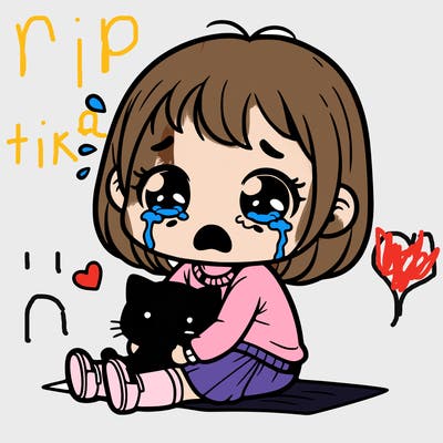 the little girl hugging a kitty with crying face