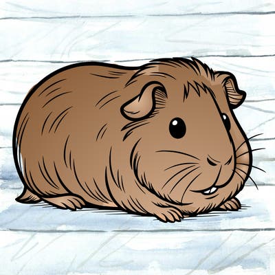 guinea pig