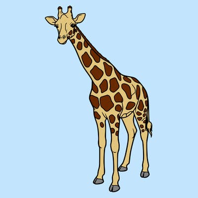 giraffe no open lines