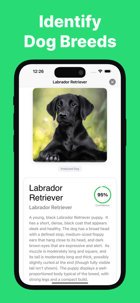 Dog Scanner: Puppy Identifier - Education App | MWM