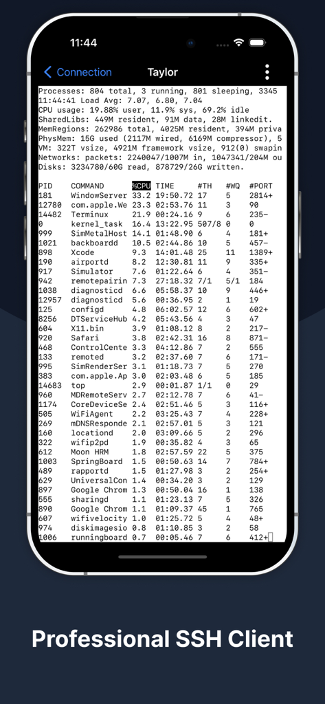 Terminux: SSH Client - Terminux app on iPhone displaying active system processes in a terminal window.