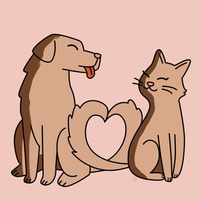 animals_22