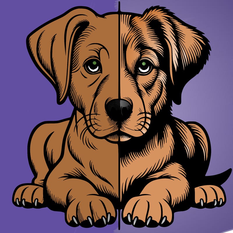 realistic dog split picture