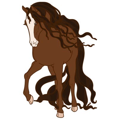 animals_11