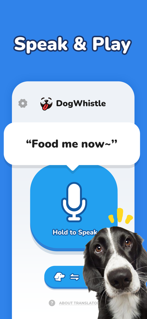 Dog Translator app interface with a microphone button and a curious dog