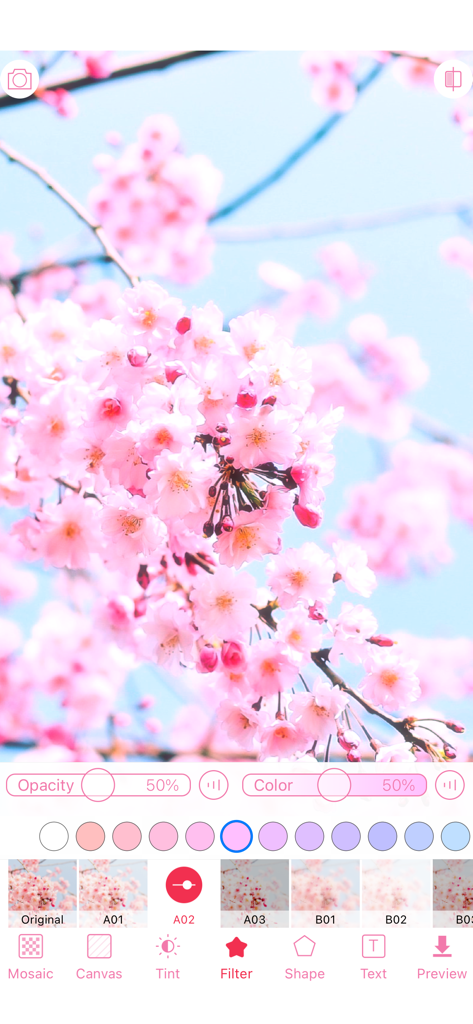 WataameCamera - WataameCamera App-Oberfläche, die Kirschblüten zeigt, die mit einem weichen rosa Pastellfilter bearbeitet werden.