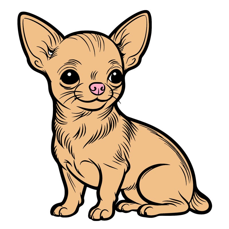 chihuahua