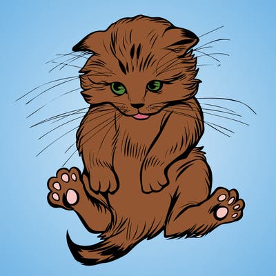 animals_20