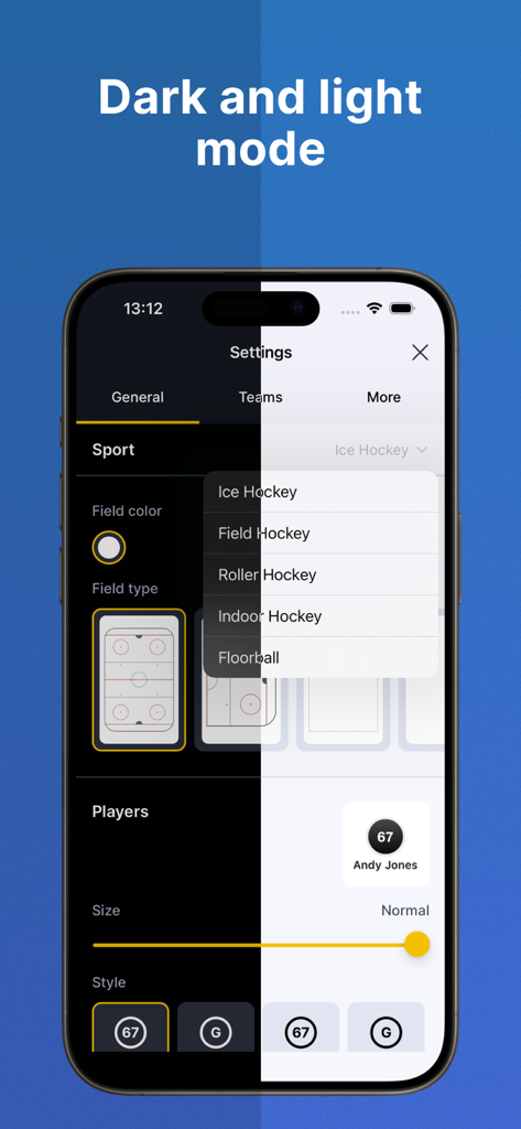 Coach Tactic Board: Hockey - Coach Tactic Board Hockey app settings interface showing dark and light mode toggle.