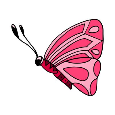 animals_02