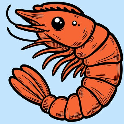 shrimp