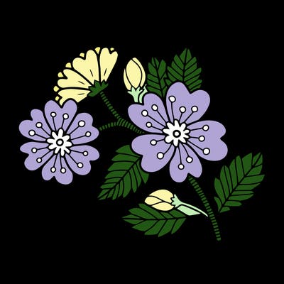 flowers_11