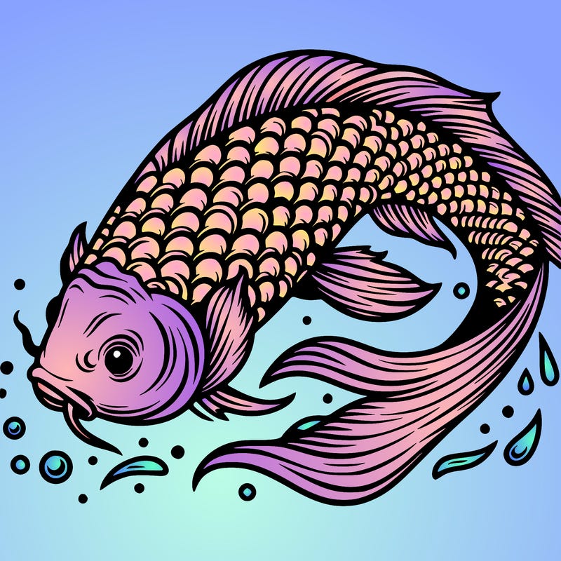 beautiful koi fish