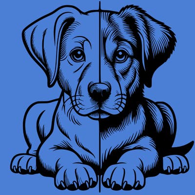 realistic dog split picture