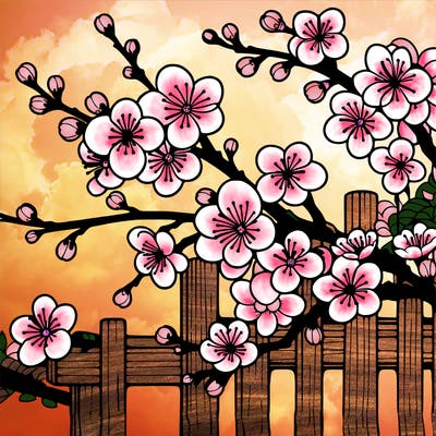 japan cherry blossom