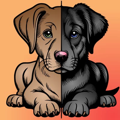 realistic dog split picture