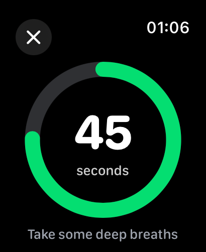 Gym Rest Timer - Flavr Apps - Apple Watch screen displaying a 45 second gym rest timer with a green progress ring and motivational text