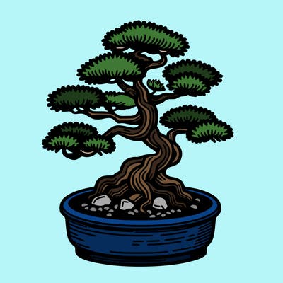 japan bonsai