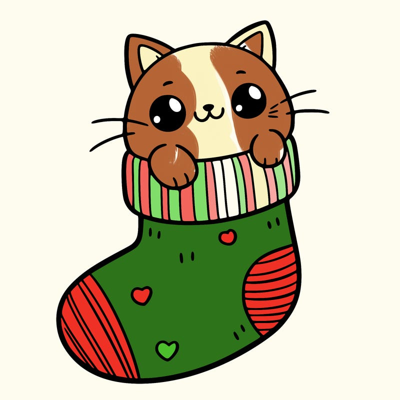 cute cat in a sock