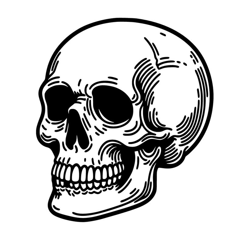 skull