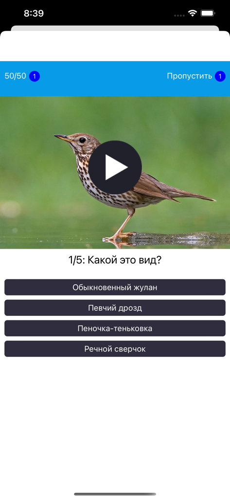Interfaccia dell'app mobile per un quiz di identificazione degli uccelli con una foto di un uccello e opzioni a scelta multipla in russo