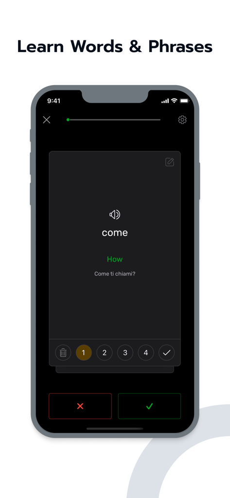 Learn English | LingQ - LingQ mobile app vocabulary review interface with SRS level selection