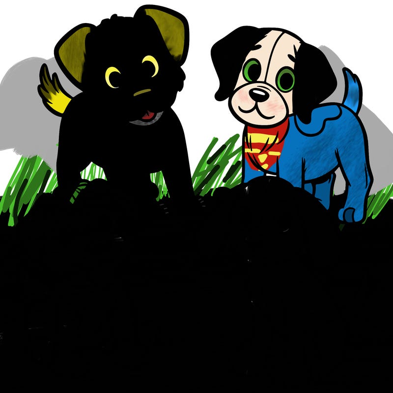 dogs