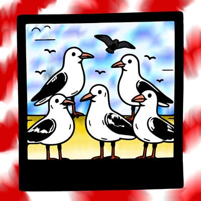 seagulls in a polaroid picture