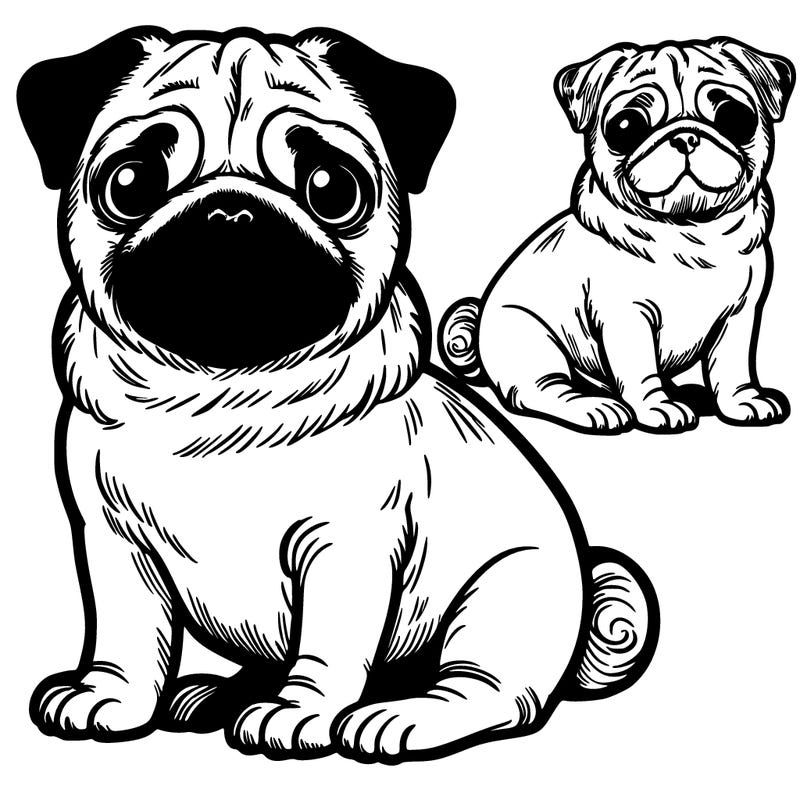 pug