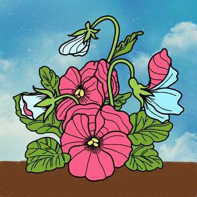 flowers_10