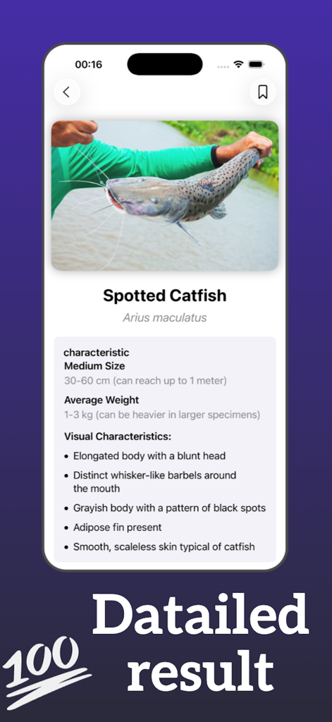 iFished: Fish Verify - Résultats détaillés de l'identification du poisson pour un poisson-chat tacheté dans l'application iFished