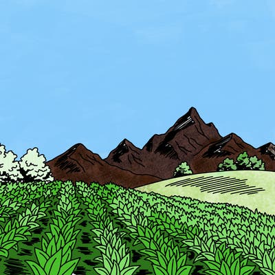 places_08