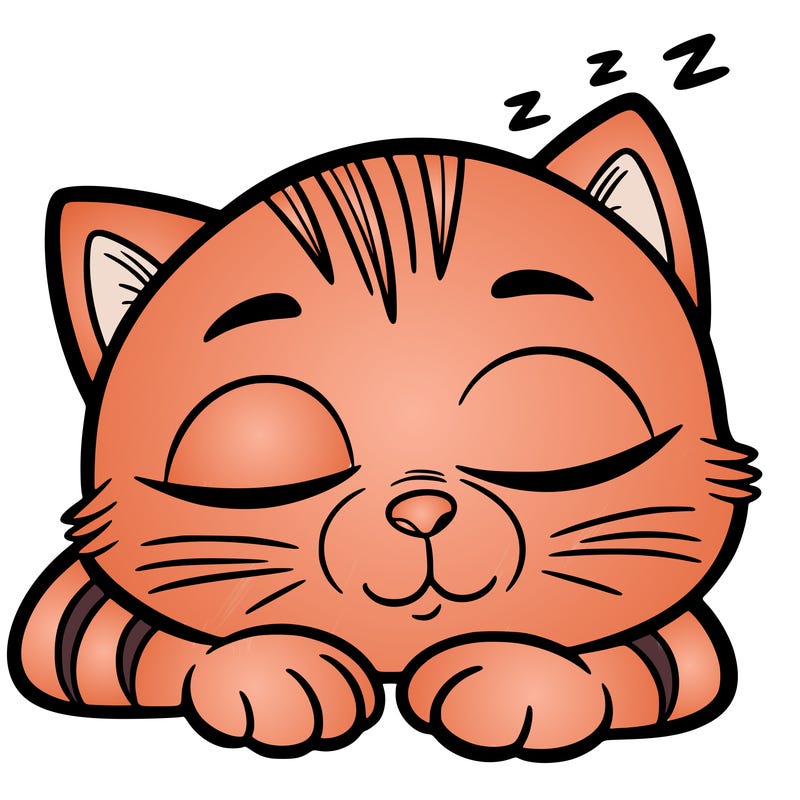 sleepy cat