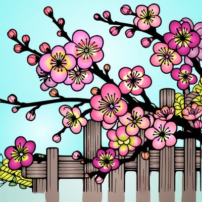 japan cherry blossom