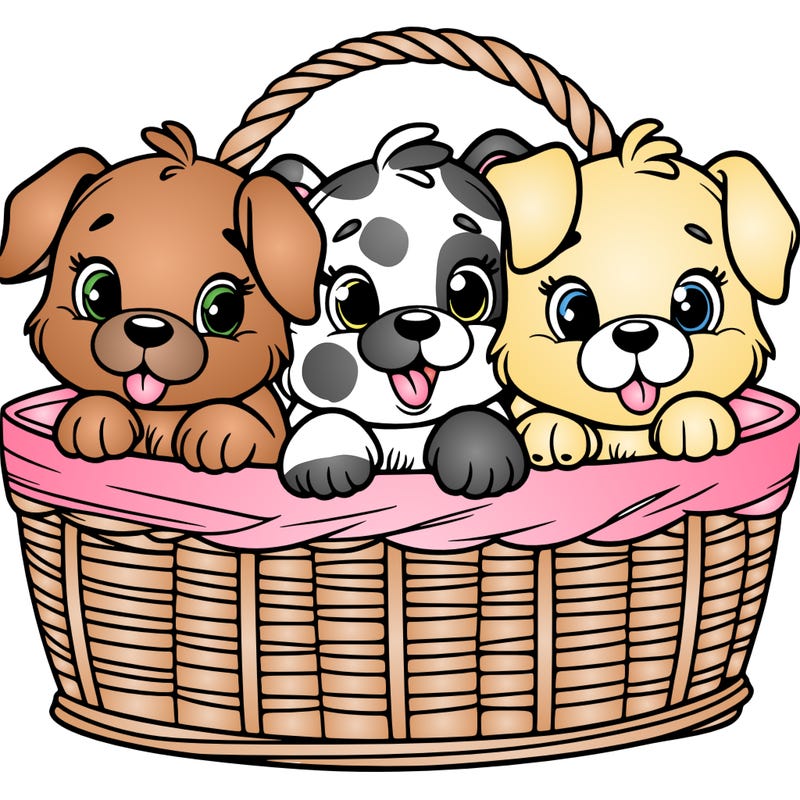 3 puppies in a basket