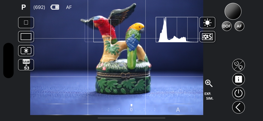 Professional camera live view interface with remote settings and histogram